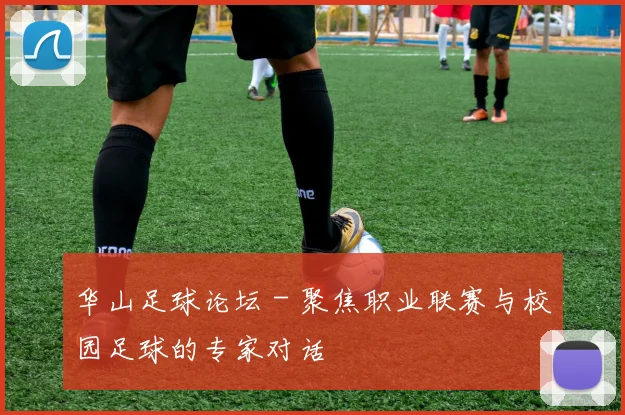 华山足球论坛 - 聚焦职业联赛与校园足球的专家对话